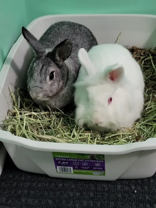 All Pets Veterinary Center 8