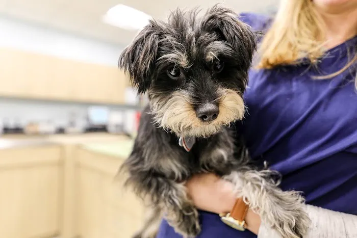 Livewell Animal Hospital of Anchorage 12