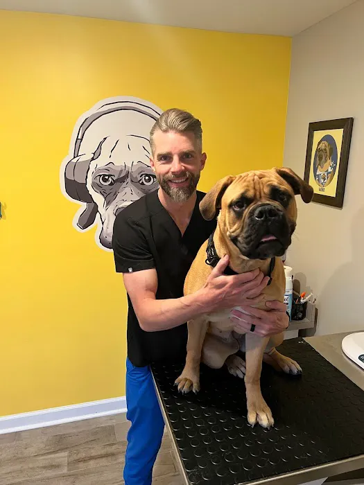 Livewell Animal Hospital of Anchorage 12