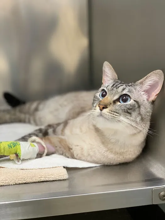 Livewell Animal Hospital of Anchorage 12