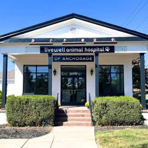 Livewell Animal Hospital of Anchorage 12