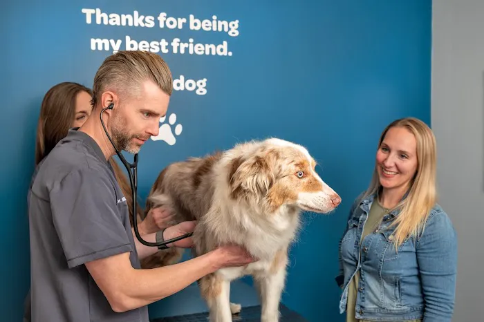 Livewell Animal Hospital of Anchorage 12