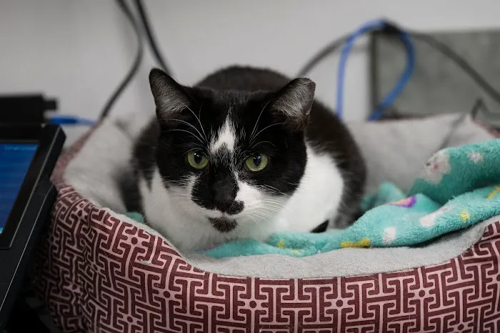 Livewell Animal Hospital of Anchorage 12