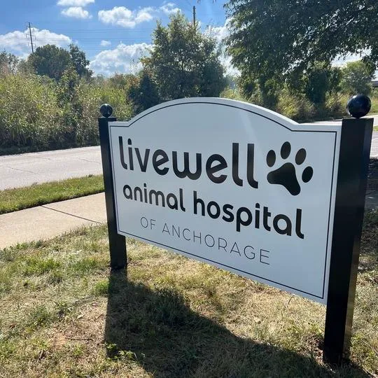 Livewell Animal Hospital of Anchorage 12
