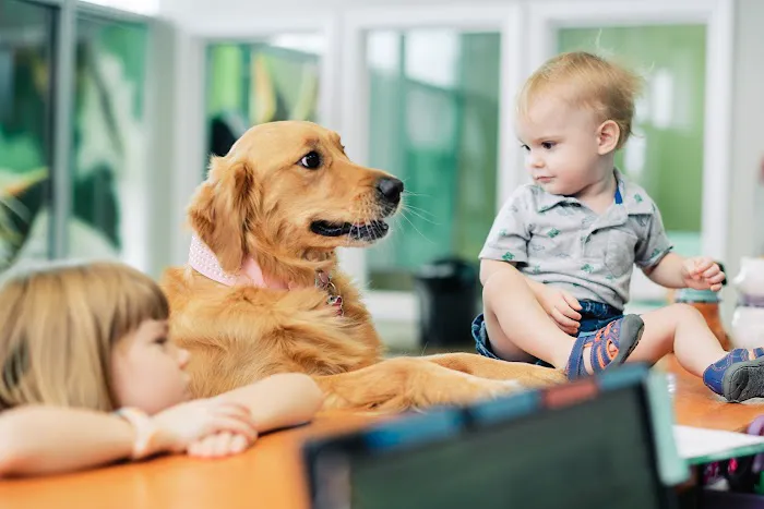 PetVet365 Pet Hospital Louisville/Anchorage 12