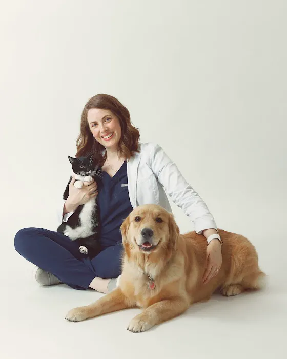PetVet365 Pet Hospital Louisville/Anchorage 12