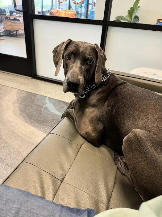 PetVet365 Pet Hospital Louisville/Anchorage 12