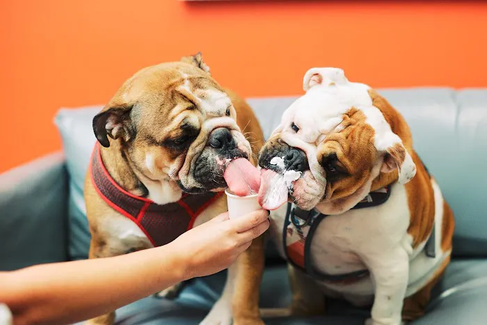 PetVet365 Pet Hospital Louisville/Anchorage 12