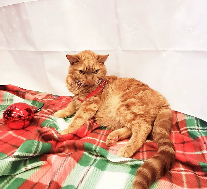 PetVet365 Pet Hospital Louisville/Anchorage 12