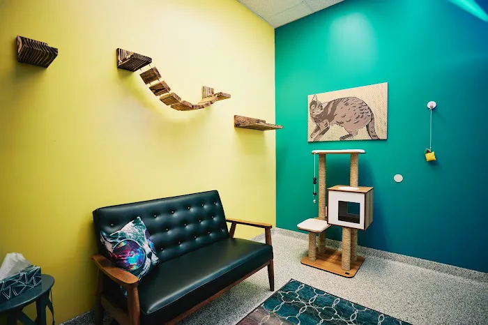 PetVet365 Pet Hospital Louisville/Anchorage 12