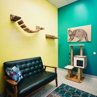 PetVet365 Pet Hospital Louisville/Anchorage ico