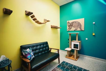 PetVet365 Pet Hospital Louisville/Anchorage