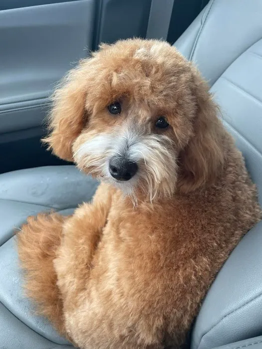 Independence Pet Hospital 12