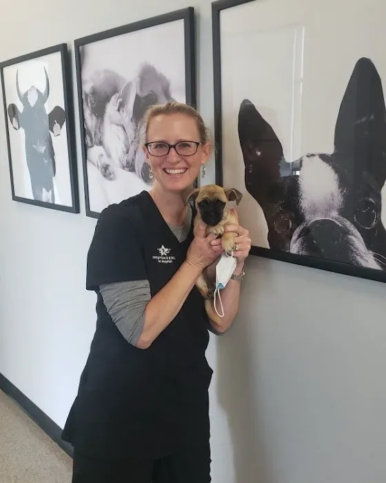 Independence Pet Hospital 12