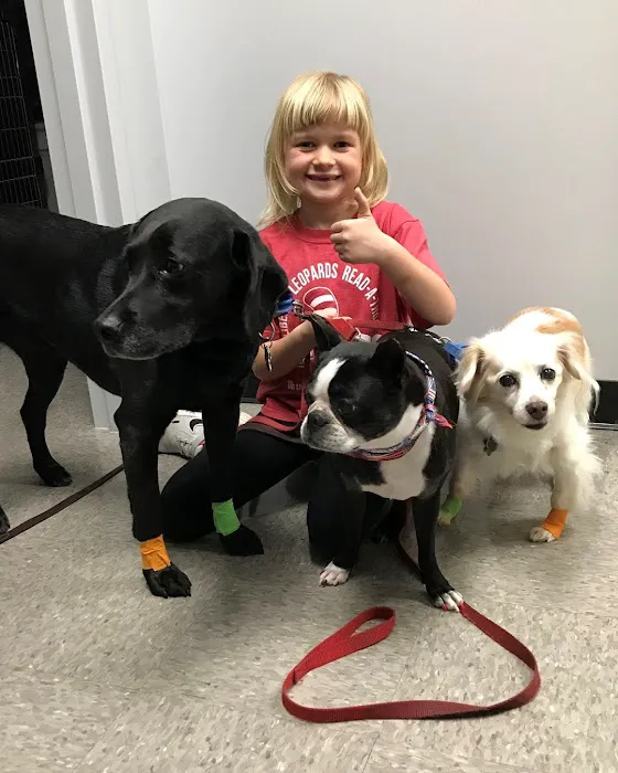 Independence Pet Hospital 12