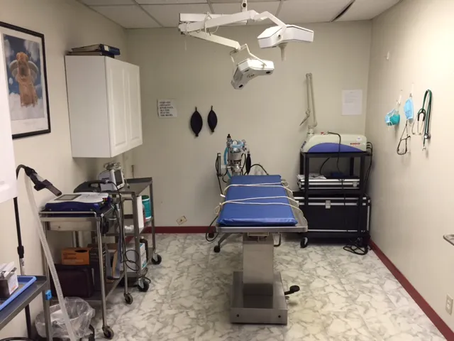 Lebanon Animal Hospital 12