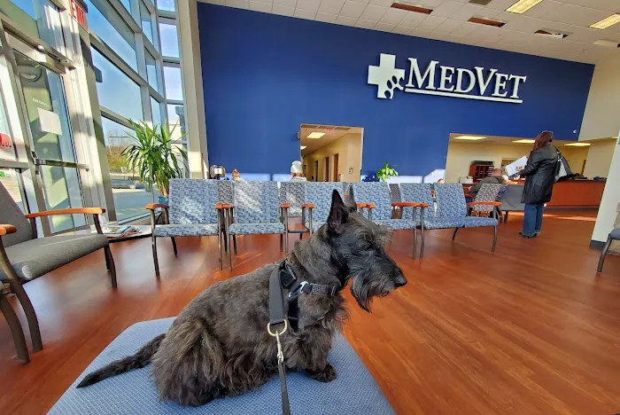 MedVet Cincinnati 12