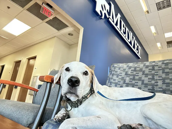 MedVet Cincinnati 12