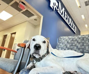 MedVet Cincinnati