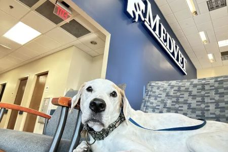 MedVet Cincinnati