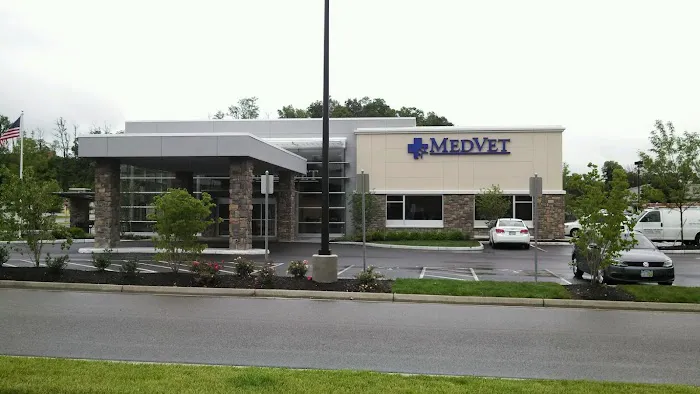 MedVet Cincinnati 12