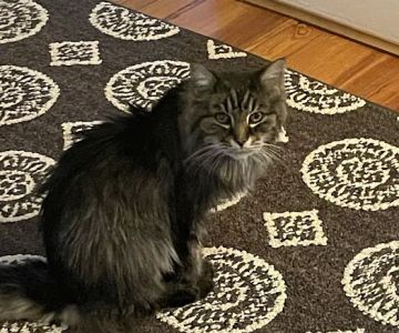 Red Bank Veterinary Hospital