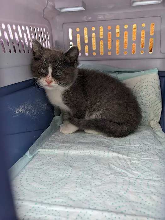 Red Bank Veterinary Hospital 12