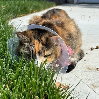 Red Bank Veterinary Hospital 12