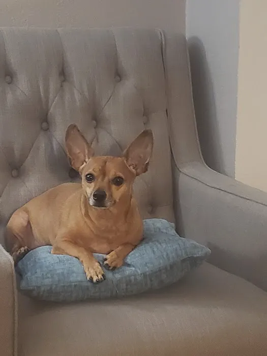Red Bank Veterinary Hospital 12
