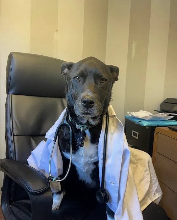 Mariemont Veterinary Clinic 12