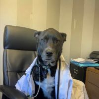 Mariemont Veterinary Clinic ico