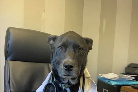 Mariemont Veterinary Clinic
