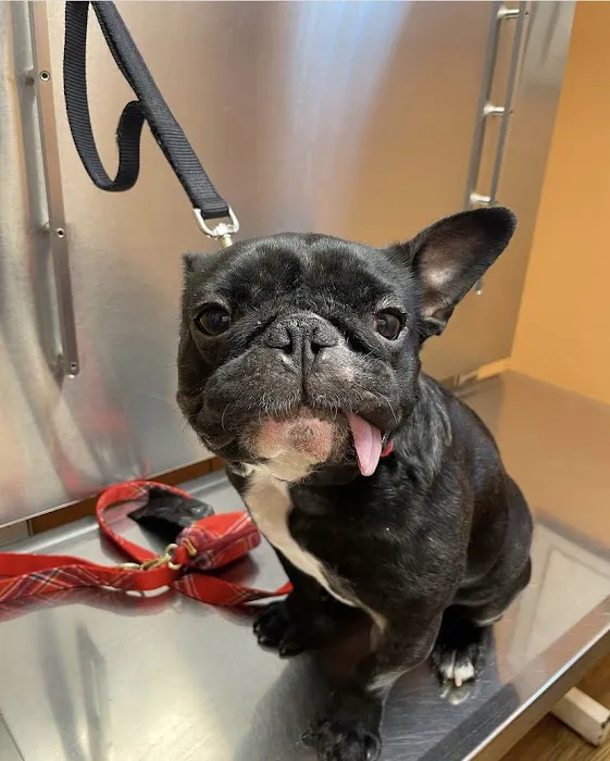 Mariemont Veterinary Clinic 12