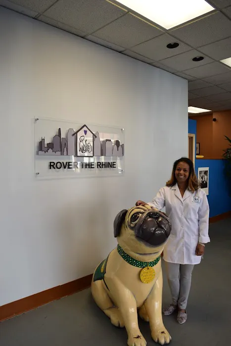 Rover The Rhine 12