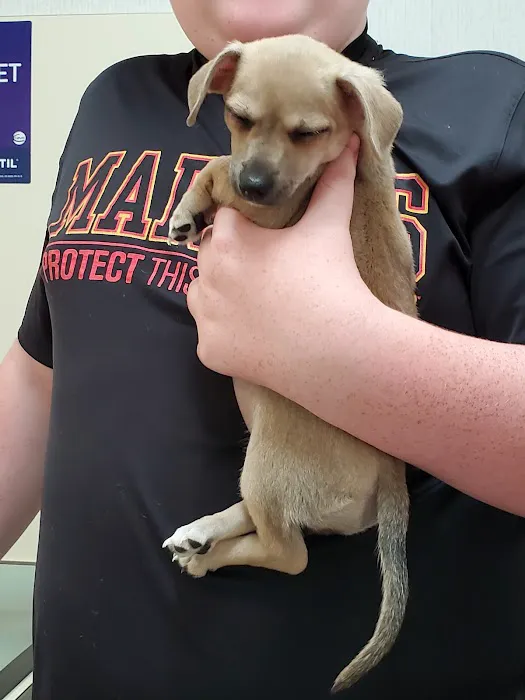 Bellevue Animal Hospital 12