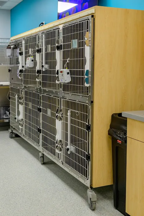 AcutePet Urgent Care 6