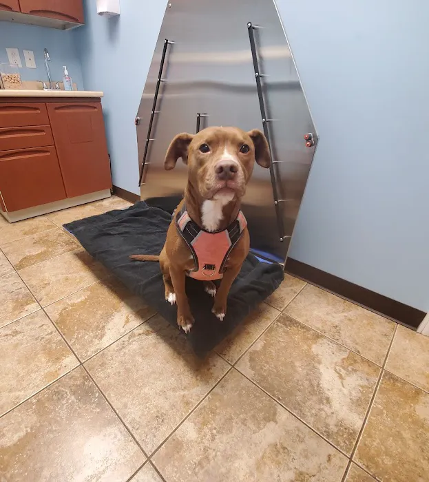 Riverview Animal Hospital 12