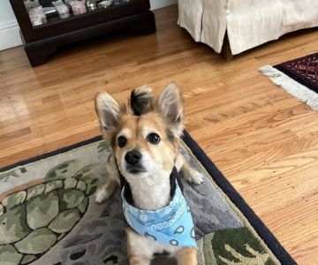 Riverview Animal Hospital