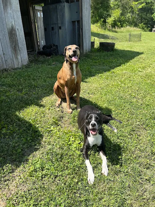Riverview Animal Hospital 12