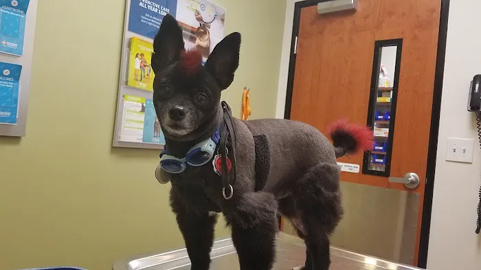 Banfield Pet Hospital 12