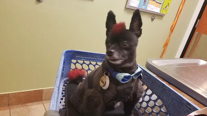 Banfield Pet Hospital 12