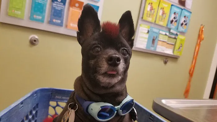 Banfield Pet Hospital 12
