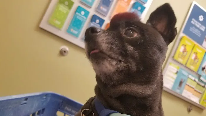 Banfield Pet Hospital 12
