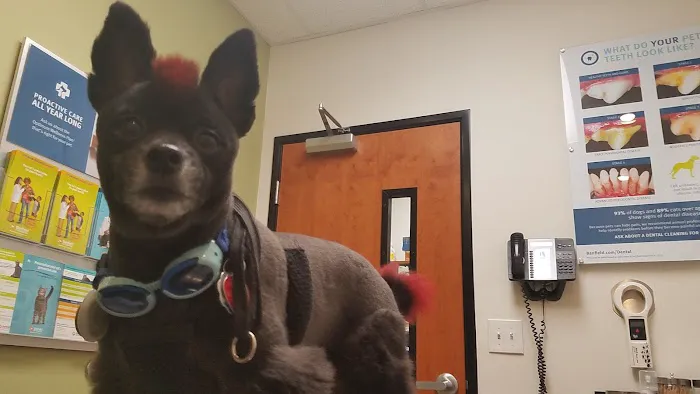 Banfield Pet Hospital 12