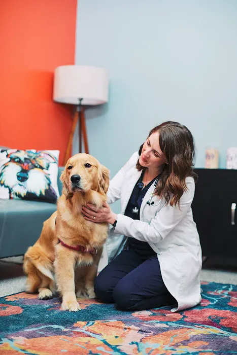 PetVet365 Pet Hospital Cincinnati/Newport 12