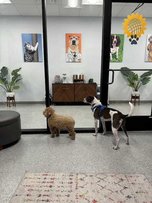 PetVet365 Pet Hospital Cincinnati/Newport 12