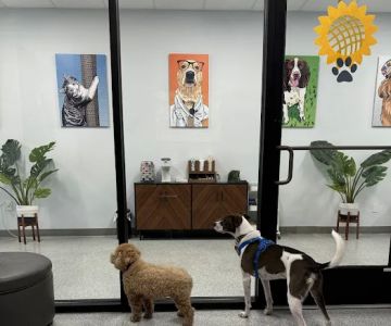 PetVet365 Pet Hospital Cincinnati/Newport