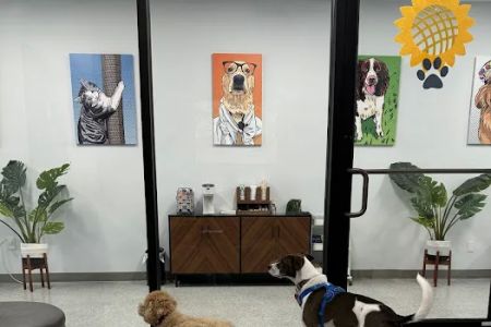 PetVet365 Pet Hospital Cincinnati/Newport