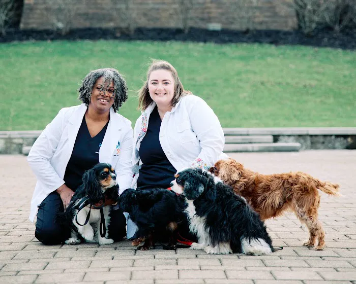 PetVet365 Pet Hospital Cincinnati/Newport 12