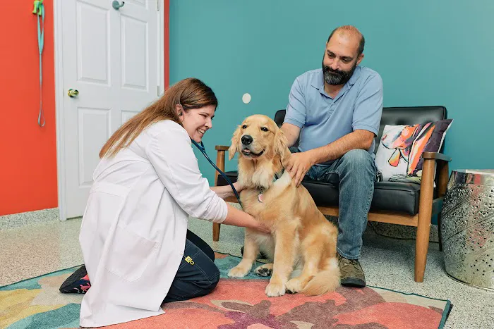 PetVet365 Pet Hospital Cincinnati/Newport 12